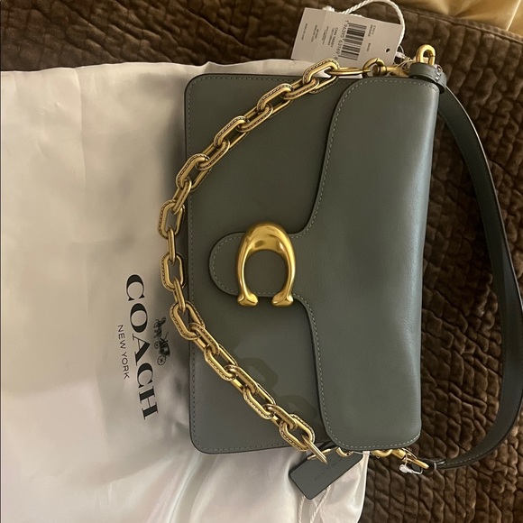Coach Tabby Shoulder Bag Sage color with Brass Chain, NWT - Picture 1 of 5